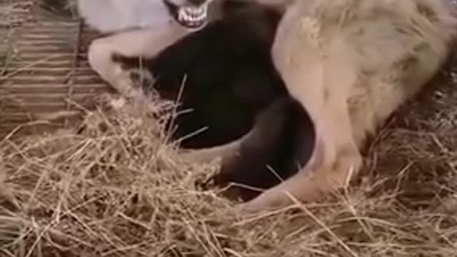 mmmm careful