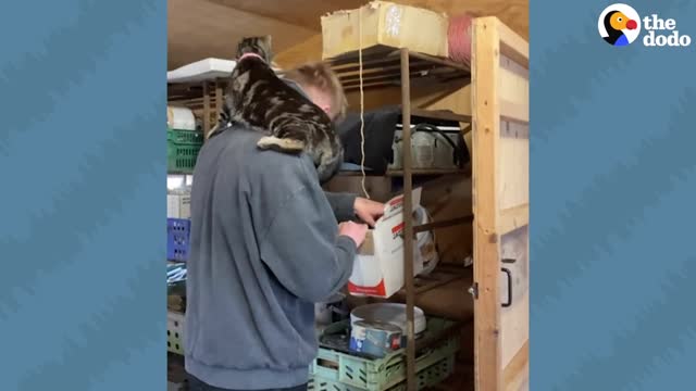 Cat Gives Her Dad Hugs All Day, Every Day