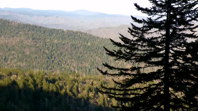 Abby Hornacek flying with What's up ballooning