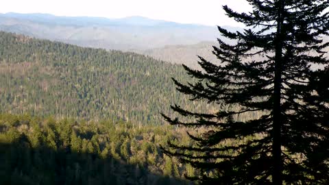 Abby Hornacek flying with What's up ballooning