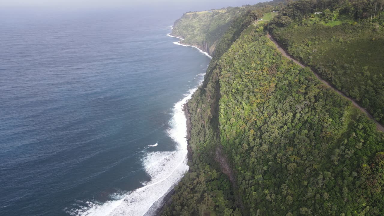 Trees on Cliff on Sea Shore