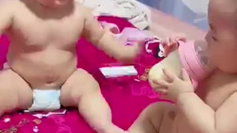 Let the milk battle begin