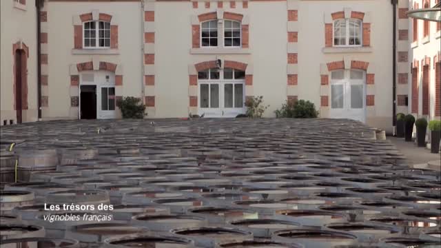 Les trésors des vignobles français36