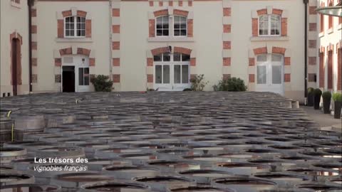 Les trésors des vignobles français36