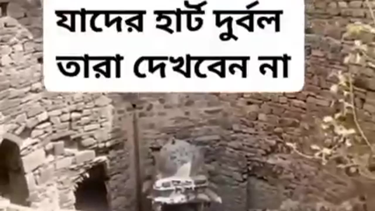 Look in depth