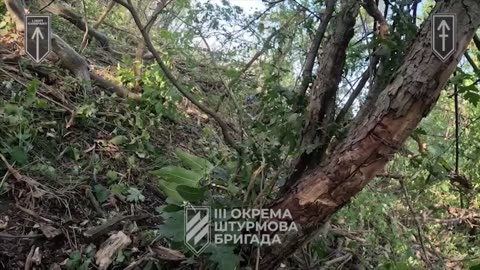 ⬆️🇺🇦 The first video of the beginning of the offensive operation in the Kharkiv