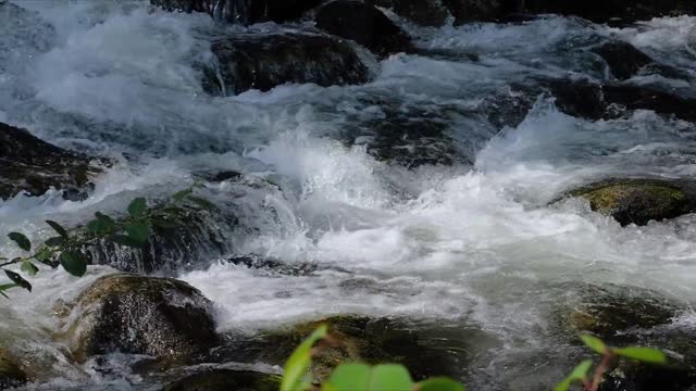 Relaxing River and streams