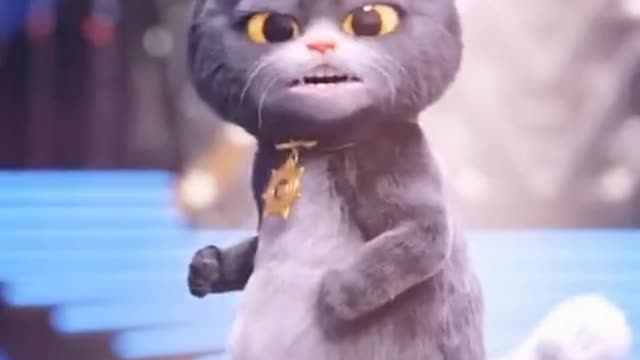 Gato dançando