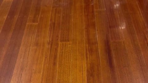 Try out This Robot Cleaner HOBOT LEGEE D7