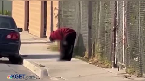 Cannibal In California