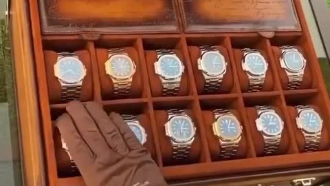 rolex watch case