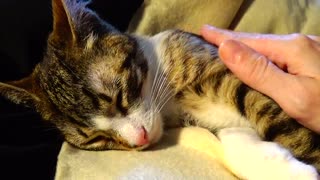 If You Touch Me I Will Make Biscuits