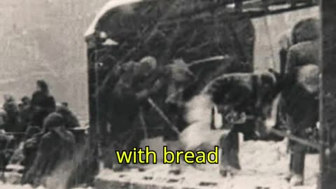The Siege of Leningrad 1941 1944