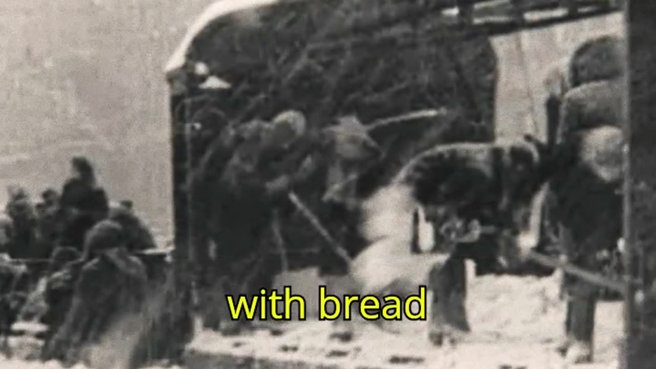 The Siege of Leningrad 1941 1944
