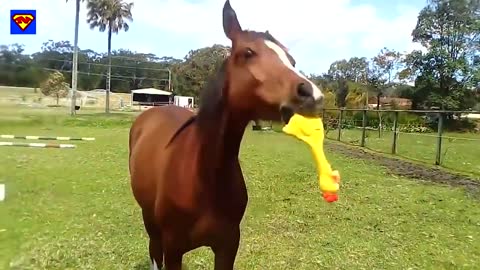 heheheheheeh so nice