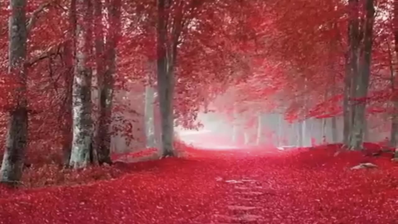 beautiful