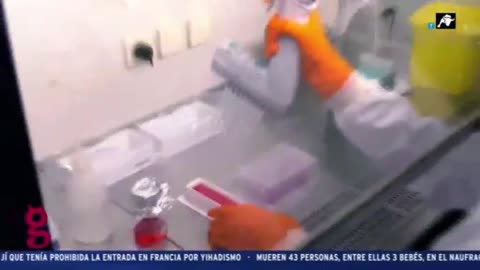 "Todos vacunados y todos contagiados"