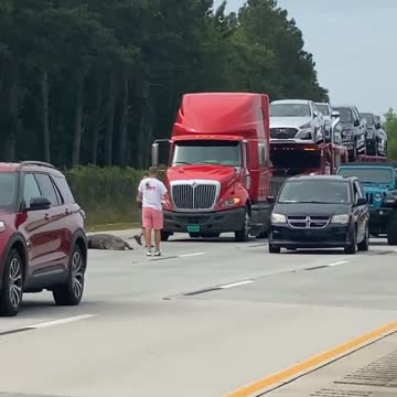 Large Gator on Perry Georgia Interstate