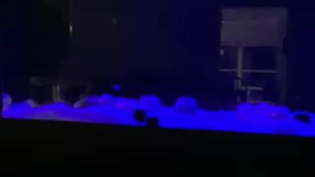 Live media moving bed sump filter
