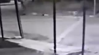 Video: Impresionante caso de maltrato animal ocurrió en Barrancabermeja este viernes