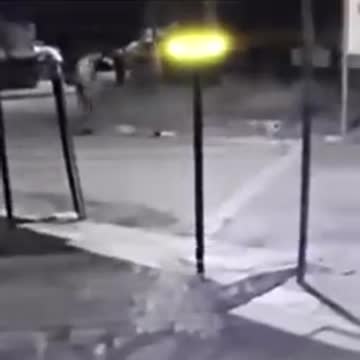 Video: Impresionante caso de maltrato animal ocurrió en Barrancabermeja este viernes