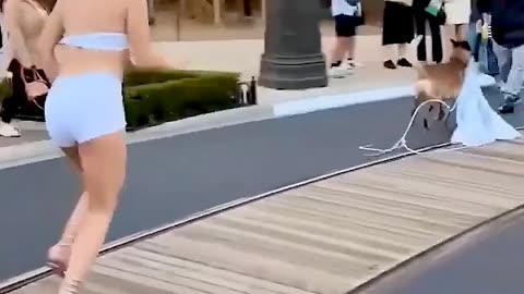 Big fails 😂😂😂 #shortsfails #shortvideo #failsvideo