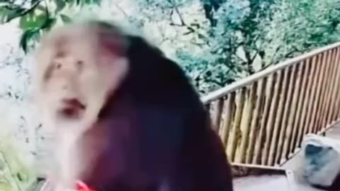 Funny video 😂😂😂😂😂😀