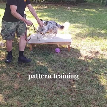 Ruff Cut PodCast Leash Handling part 3 cut e