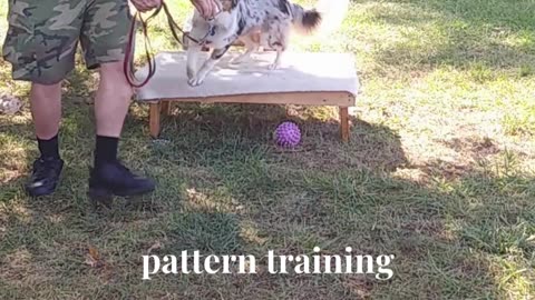 Ruff Cut PodCast Leash Handling part 3 cut e