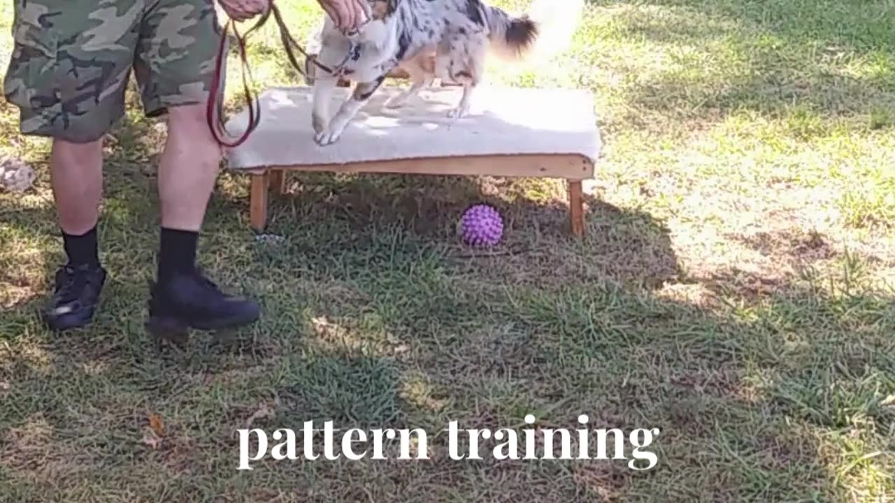 Ruff Cut PodCast Leash Handling part 3 cut e