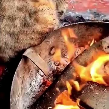 Kucing Terbakar
