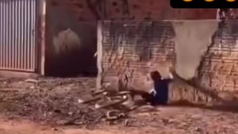 Random funny fails 😂😂😱