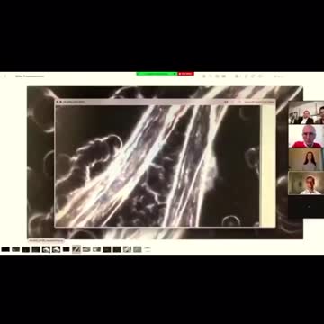 INSIDE THE DEATH VAX