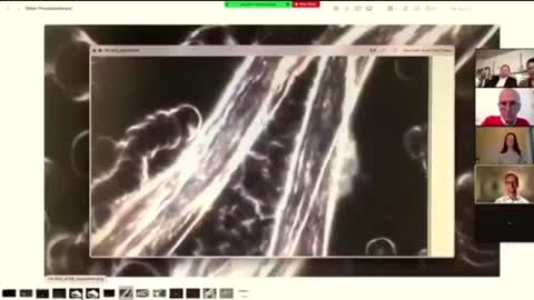 INSIDE THE DEATH VAX