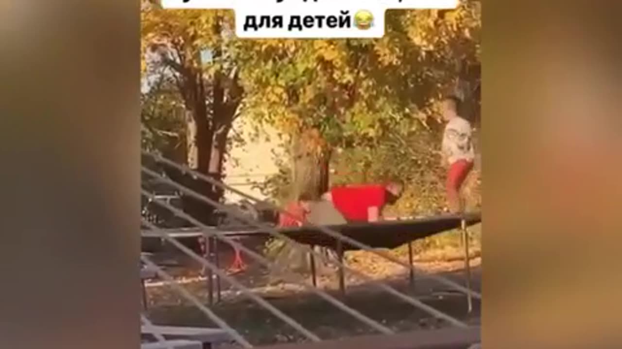 Funny video of the day