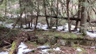 Five Day Thru Hike on the Baker Trail - Video 10 The Perfect Swimming Hole