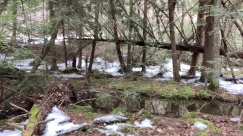 Five Day Thru Hike on the Baker Trail - Video 10 The Perfect Swimming Hole