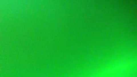 Green Stretchy Disk!