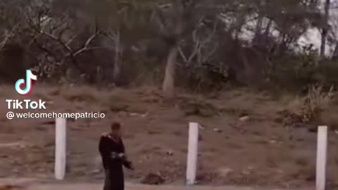 Zombie?!