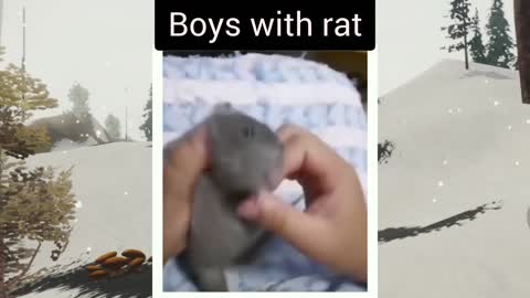 Funny video