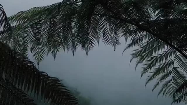 Aesthetic video 💫