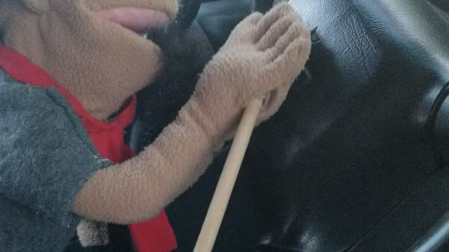 puppet having a good time I see😂😱