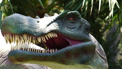 Small dinosaurs