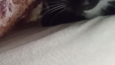 I love my blanket!