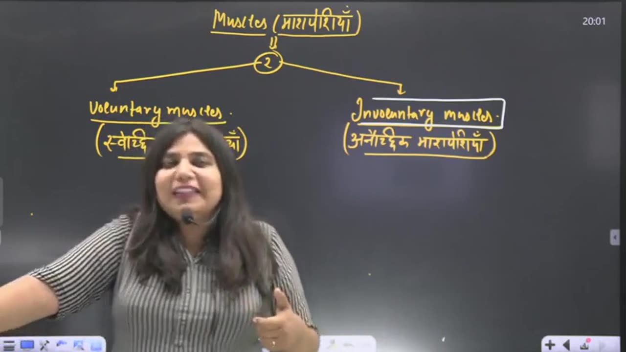 55 circulatory system 2