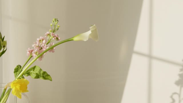 A Person Getting Cupcake on a Glass Plate #shorts