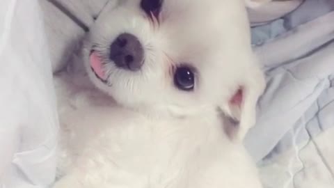 This is the prettiest baby in the world