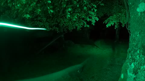 Nightlapse. Wildcmping. GoPro