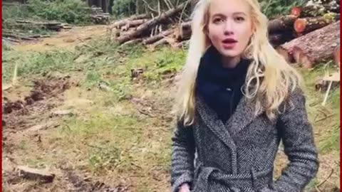 13.000 bomen worden gekapt voor stikstofbeleid. Waanzin.
