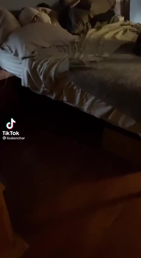 New tick tock animal filter Trump